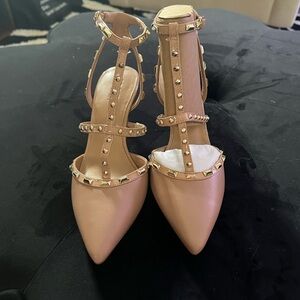 Pointy toe heels. Blush. Shoe name is Carma